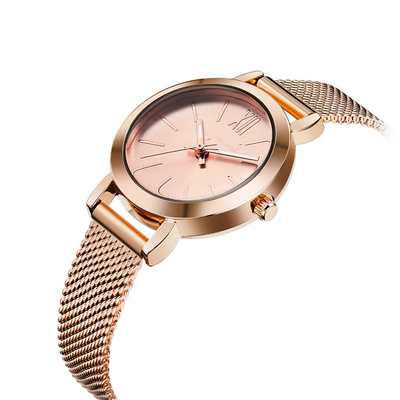 Bracelet Mesh Band Ladies Alloy Quartz Watch Waterproof Minimalist Watches